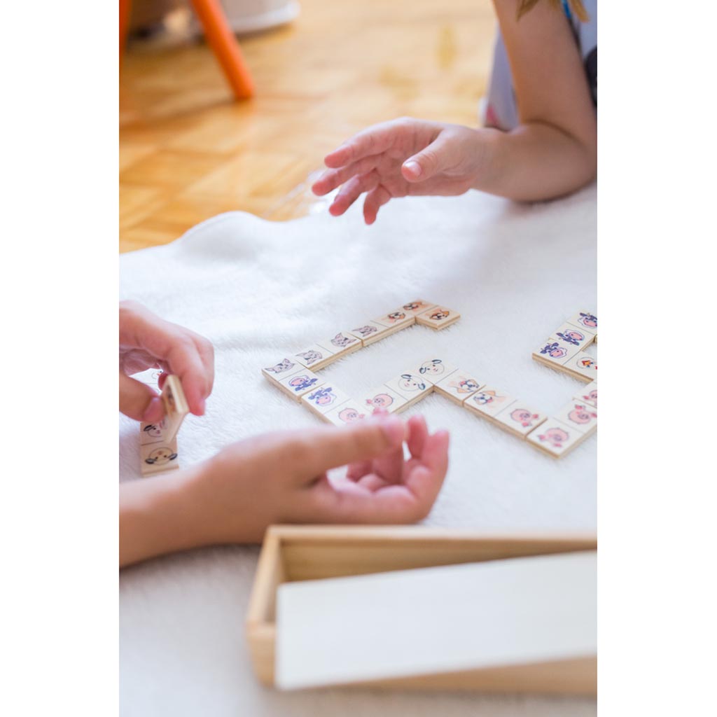 clients/infiniprinting/ax/photos_BD/AX15227-P2-Jeu-de-dominos-dans-|-Tiernan-imprime-bois.jpg